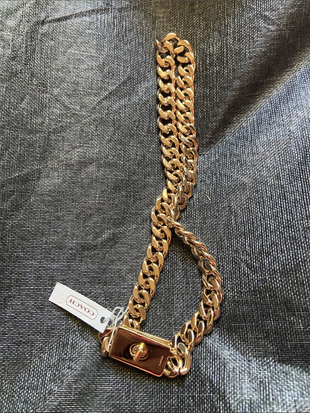 Coach Chunky Cuban Turnlock Necklace NWT